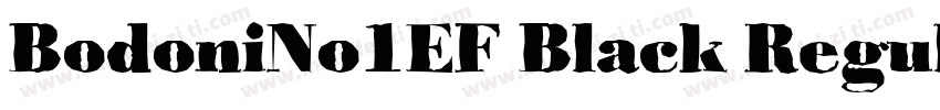 BodoniNo1EF Black Regular字体转换